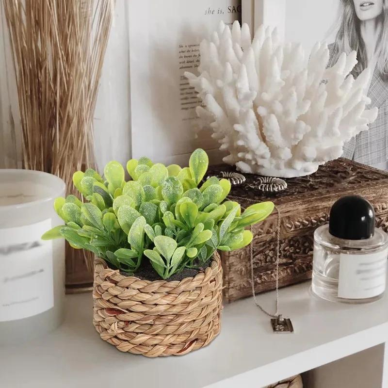 1 pezzo di piante in vaso picc - Home Office Layout recensione e prezzo